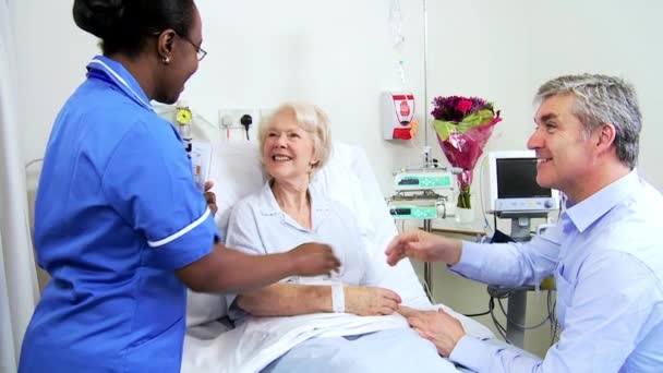 Homme Visiteur Relatif Mature Lady Hospital Ward
 - Séquence, vidéo
