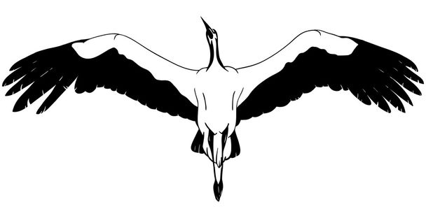 lying White Stork - Vector, imagen