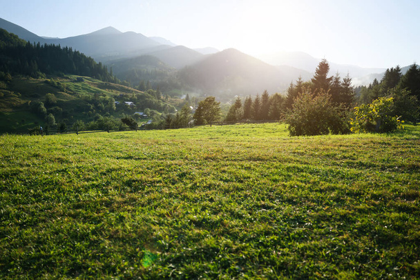 Beautiful view of green pasture in mountains on sunny day - Photo, image