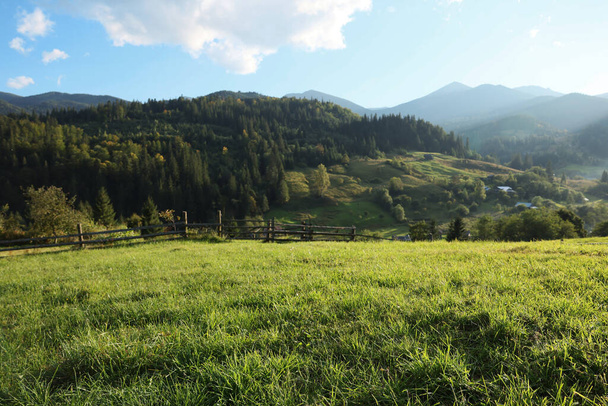 Beautiful landscape with green pasture on mountain hill in morning - Fotografie, Obrázek