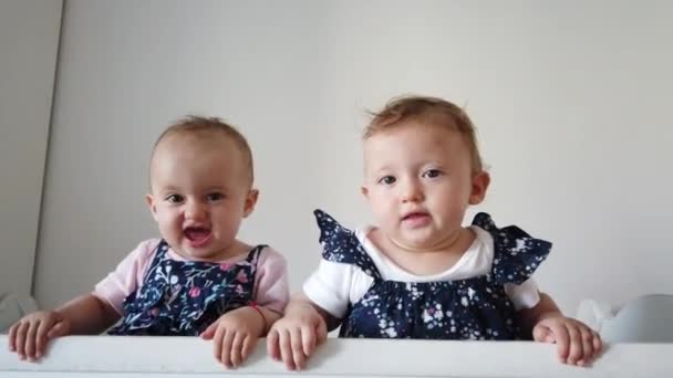 Duas irmãs gémeas fraternas a divertirem-se no berço. Dois bebés em pé no berço
. - Filmagem, Vídeo