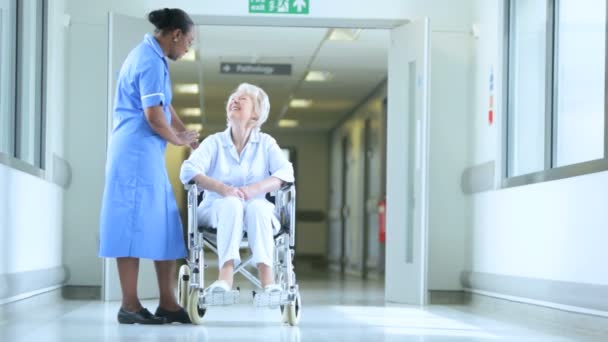 starších pacientů nemocnice péči více etnických zaměstnanci - Záběry, video