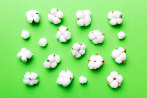 Φθινόπωρο Floral Flat θέσει σύνθεση φόντου. Αποξηραμένο λευκό αφράτο βαμβακερό κλαδί λουλουδιών με πράσινο φύλλο πάνω όψη σε χρωματιστό τραπέζι με χώρο αντιγραφής. - Φωτογραφία, εικόνα