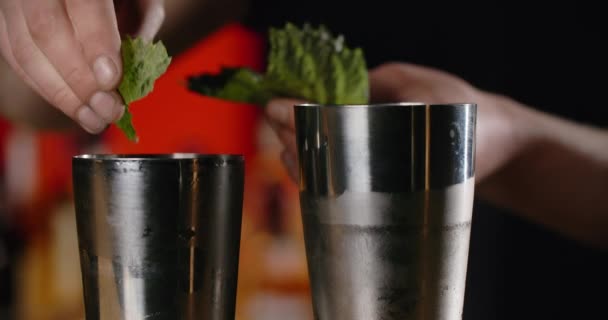Barmen, açık karıştırıcıya taze nane yaprağı ekliyor. Kokteyli yeşil mevsimlerle hazırlıyor. Barmen, barın tezgahında soğuk içecekleri karıştırıyor. - Video, Çekim