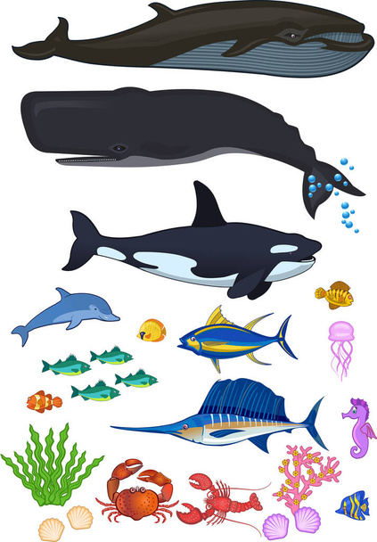 Conjunto de peixes e mamíferos marinhos - Vetor, Imagem