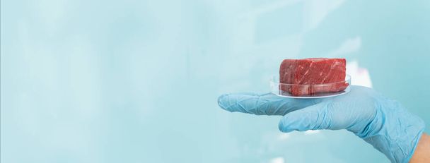 Lab grown meat concept - meat in petri dish - Foto, afbeelding