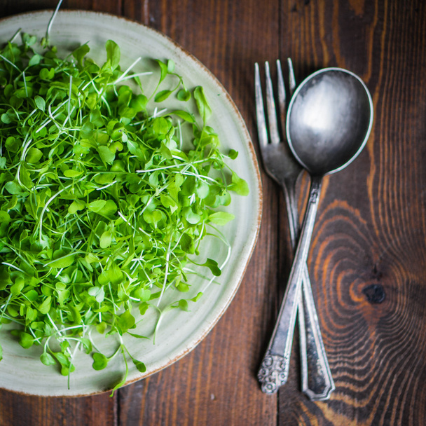 Raw sprouts(microgreens)  - Photo, Image