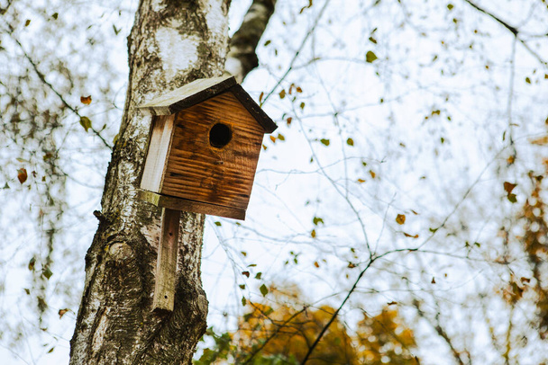 birdhouse sull'albero autunno stagione copia spazio - Foto, immagini