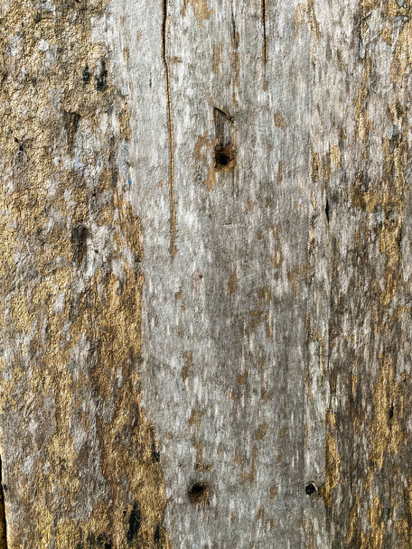 Arkaplan dokusu olarak tahta duvar - Fotoğraf, Görsel