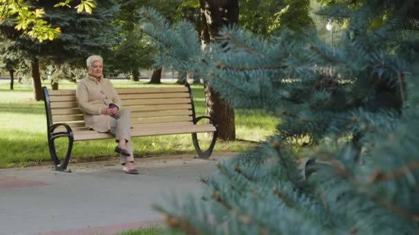 Abuela anciana de pelo gris relajada sentada en el banco del parque con ropa de abrigo casual en un día soleado en clima fresco. Elegante atractiva mujer adulta madura de edad de jubilación disfrutando de tiempo libre al aire libre - Imágenes, Vídeo