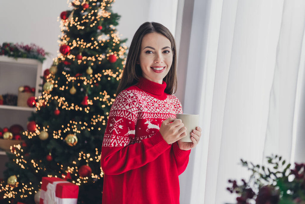 Photo of young cheerful girl enjoy coffee hold mug decor evergreen tree holiday spirit jolly december indoors - Zdjęcie, obraz