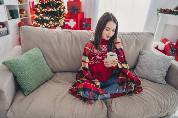 Photo of cute lady sit comfy couch cover blanket hold mug warm hands wear pullover in decorated x-mas home indoors - Φωτογραφία, εικόνα