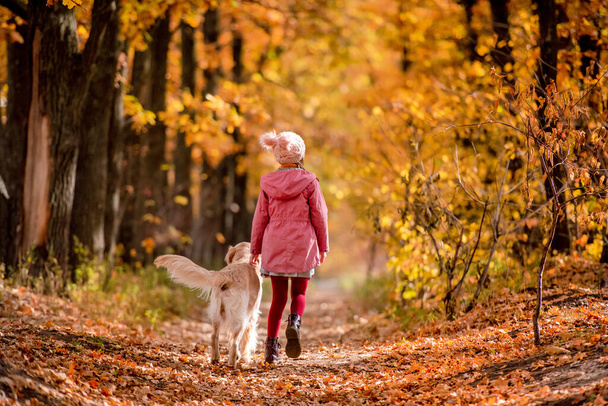 Preteen kid and golden retriever dog - Foto, Imagen