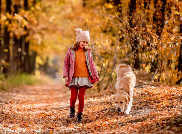 Preteen kid and golden retriever dog - Photo, image