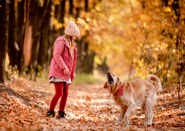 Preteen kid and golden retriever dog - Φωτογραφία, εικόνα