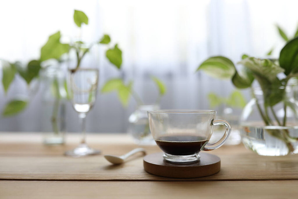 Coffee in glass and plants in glass vase and cup - Фото, изображение