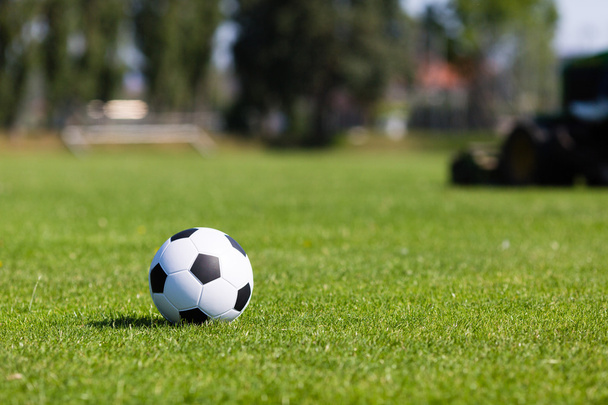 Green pitch with soccer ball - Фото, зображення