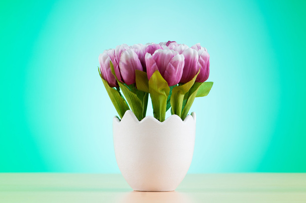 Coloridas flores de tulipán en la olla blanca
 - Foto, imagen