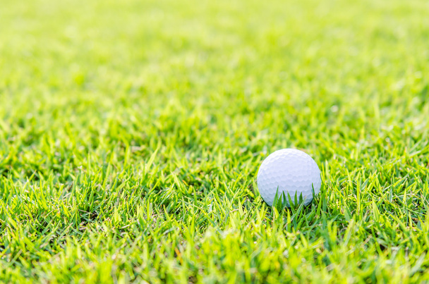 μπάλα του γκολφ στο πράσινο γρασίδι - Φωτογραφία, εικόνα