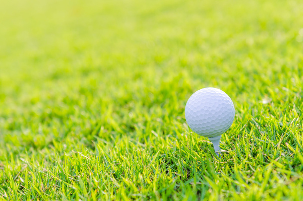 гольф мяч на зеленой траве - Фото, изображение