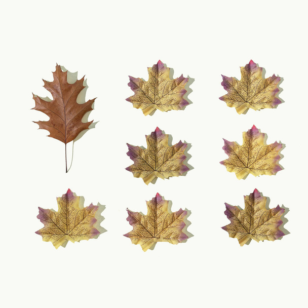 Automne ou automne scène fond ou papier peint avec des feuilles. Nature minimale conccept saisonnier. Composition de la couche plane. - Photo, image
