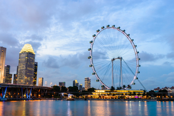 Σιγκαπούρη Φέιγ βολάν - Φωτογραφία, εικόνα