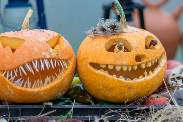 Halloween téma, vyřezávané dýně s děsivým úsměvem, pavouci a pavučiny, lebka, podzimní suché listy, tráva pozadí, dekorace a dovolená koncept, vyřezávané dýně pro zábavu party - Fotografie, Obrázek