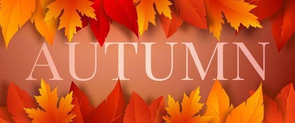 Autumn season banner template with red, yellow, orange autumn leaves on a brown background. Design for greeting card, advertising, web banner, flyer. Vector illustration. - Вектор,изображение