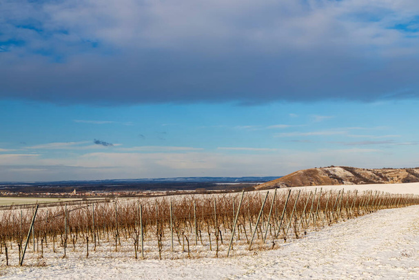 Popice, Güney Moravya, Çek Cumhuriyeti yakınlarındaki kış manzarası - Fotoğraf, Görsel