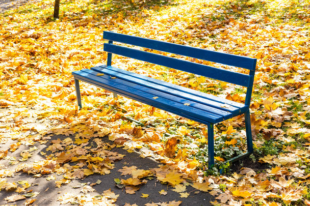 banco de madera azul vacío en el césped cubierto con hojas amarillas del parque de la ciudad en el día soleado de otoño - Foto, Imagen