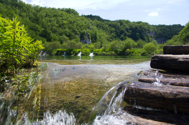 Parco Nazionale dei Laghi di Plitvice in Croazia - Foto, immagini