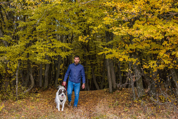 Man walking with dog in autumn forest.  Guy enjoy walk with dog. - Photo, Image