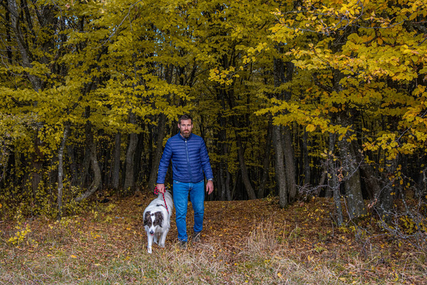 Ember kutyasétáltatás az őszi erdőben. Guy élvezze sétálni kutyával. - Fotó, kép
