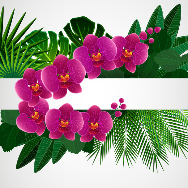Floral design background. Orchid flowers. - ベクター画像