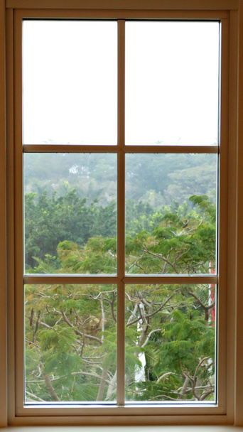 Vista desde el interior desde una hermosa ventana tradicional
 - Foto, Imagen