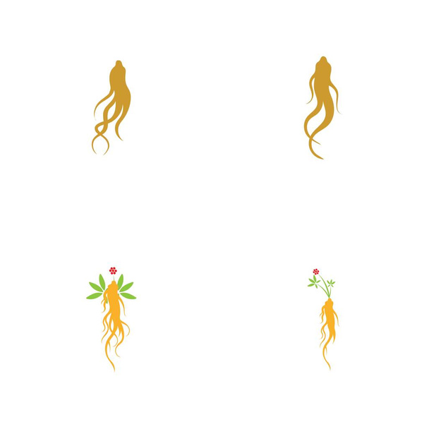 Ginseng logotipo conjunto ilustración vector plantilla - Vector, imagen