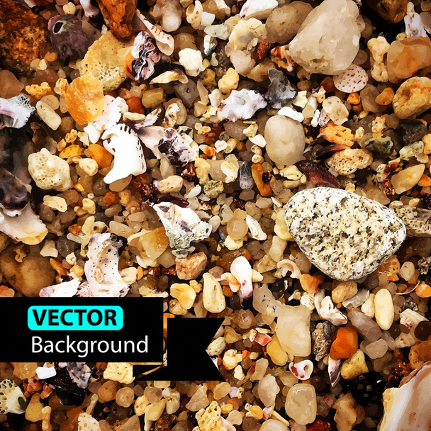 Vector beach pebbles background. - Vector, Image