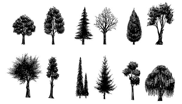 Jogo desenhado à mão preto e branco de silhuetas de árvores. Árvores vectoriais - Vetor, Imagem