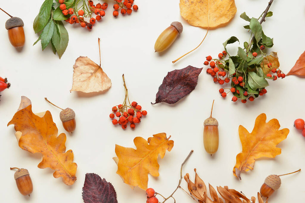 Beautiful autumn composition with dried leaves, berries and acorns on white background, closeup - 写真・画像