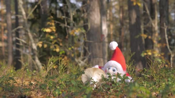 De inkijk van de rode hoed kabouter speelgoedpop in Rovaniemi Finland.4k - Video