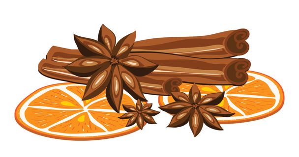 Cinnamon, anise and orange on a white background. Vector illustration. - Vector, Image