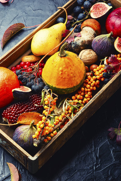 Autumn still life of pumpkins, mushrooms, apples, figs and berries.Seasonal food - Foto, afbeelding