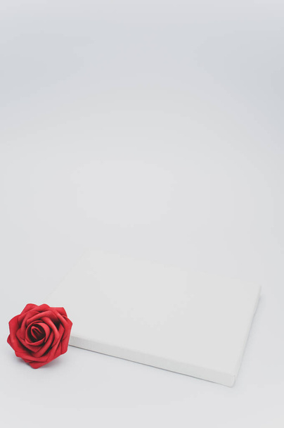 red rose flower head on a blank canvas on white with text space - 写真・画像