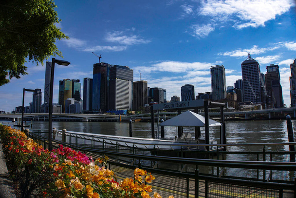 A beautiful view of a colorful flowers blossoming in the day light next to a lake and skyscrapers - Photo, Image