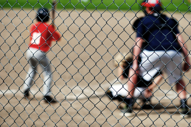 Baseball Batter adn Fence - Φωτογραφία, εικόνα