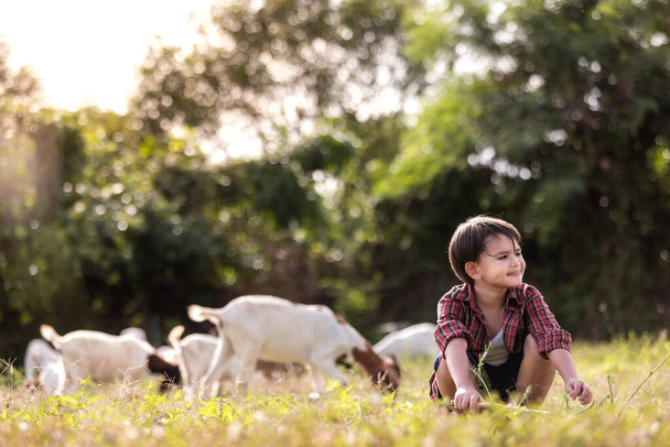 Το αγόρι ζει στην εξοχή μεγαλώνοντας κατσίκες.. - Φωτογραφία, εικόνα