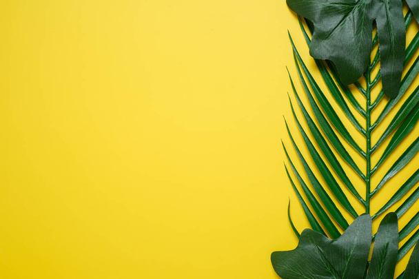 Philodendron tropical leaves on yellow color background minimal summer - Fotó, kép