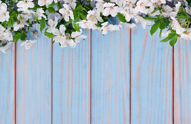 μήλο υποκατάστημα λουλούδια σε ξύλινα φόντο - Φωτογραφία, εικόνα