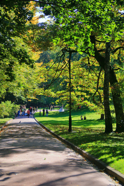 Zdjęcie zostało zrobione we Lwowie, na Ukrainie. Na zdjęciu słoneczny jesienny dzień w parku miejskim. - Zdjęcie, obraz