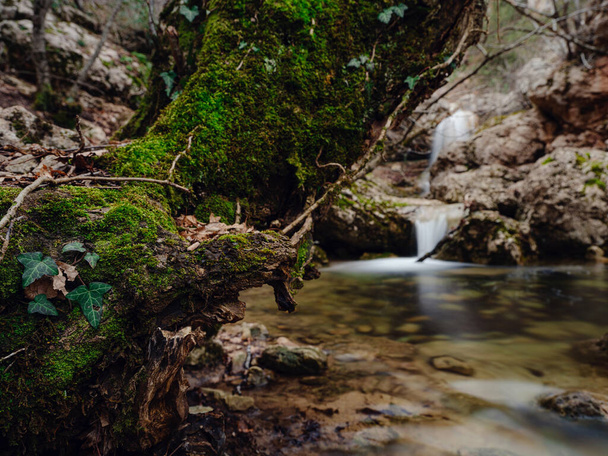 Глубоководный зимний лесной водопад. природный пейзаж. - Фото, изображение